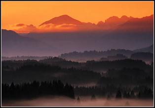 Jeśli nie zdobędziesz nagrody Jeśli nie zdobędziesz nagrody