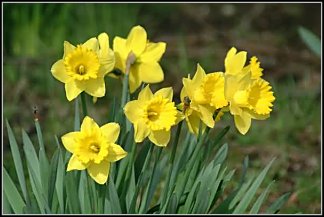 Pos�annictwo dobra