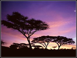 Błogosławieństwa miłości Błogosławieństwa miłości