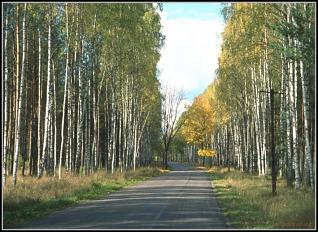 W poszukiwaniu drogi