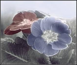 Błogosławieństwo ślubne Błogosławieństwo ślubne