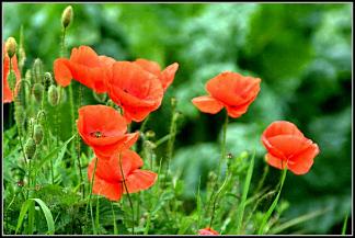 Miłość to nie... Miłość to nie...