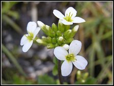 Miłość chrześcijańska Miłość chrześcijańska