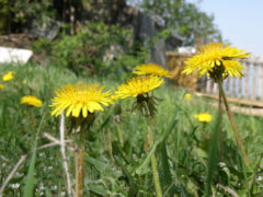 Niewidzialna Mi�o��