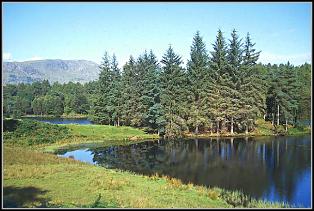 Modlitwa o upi�kszenie twarzy