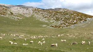 Pireneje. fot. Ewa Grajber