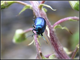 W Twoich r�kach...